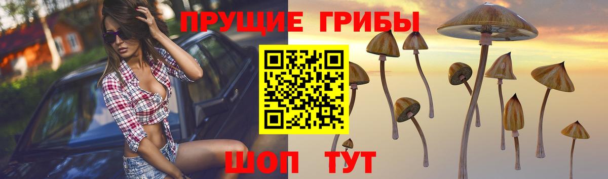 Псилоцибиновые грибы мицелий  Вход с VPN  Лянтор 